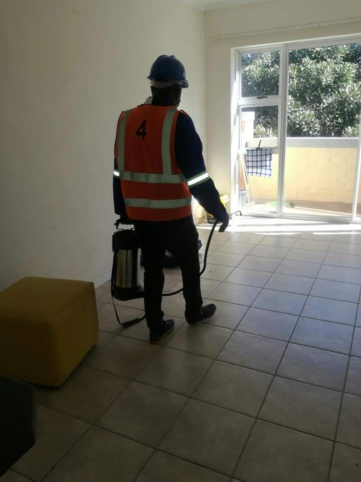 WhatsApp Image 2025-04-30 at 12.59.01_e4a8965a